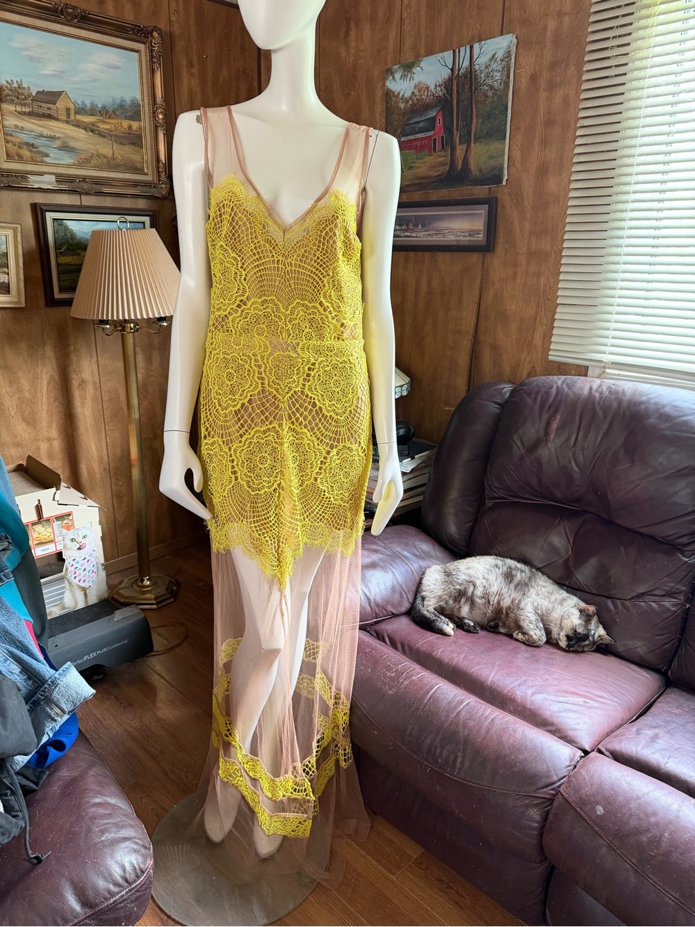 For Love and Lemons Antigua Dress